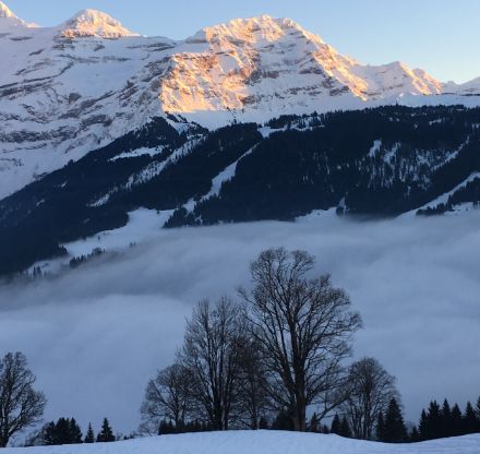 Au premier plan de la photo, une mer de brouillard, à l'arrière-plan, les montagnes des Diablerets éclairées par le soleil.