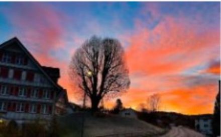 Aube rougeoyante derrière une maison et un arbre.