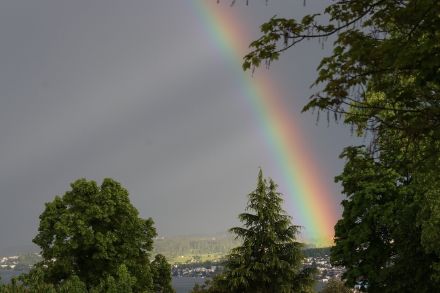 Image d’arc-en-ciel ; les gouttelettes de pluie brillent dans les couleurs du spectre.