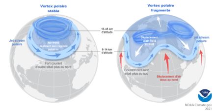 Représentations schématiques d’un vortex polaire stable et d’un vortex fragmenté.