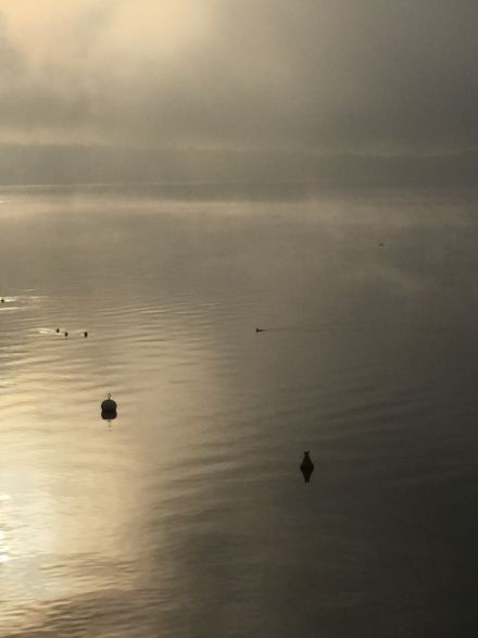 Photo de brouillard d’évaporation sur le lac Léman.