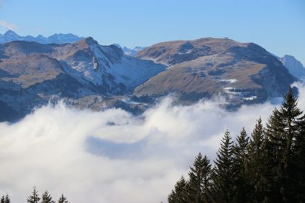 Photo montrant des ondes étendues sur la mer de brouillard.