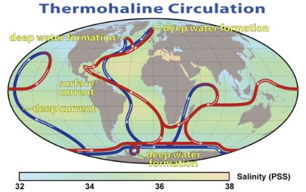 Carte du monde avec la salinité de l'océan entre les masses terrestres et la circulation océanique représentée par des flèches. En rouge, les courants de surface plus chauds sont indiqués, par exemple de l'Atlantique Sud jusqu'au Groenland, où le courant se transforme en un courant profond froid (bleu) et s'écoule à nouveau en direction de l'Antarctique.