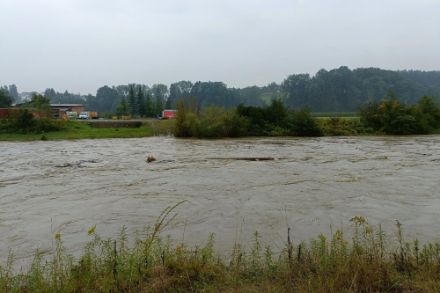 Fortes pluies à Amlikon-Bissegg (TG) le 19 août 2022 avec la rivière de la Thur en crue. Source : "Observations Météo" - Application MétéoSuisse