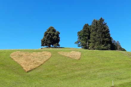 Temps estival ensoleillé le 13 août 2022 dans l'Oberland zurichois. Photo : Stephan Bader.