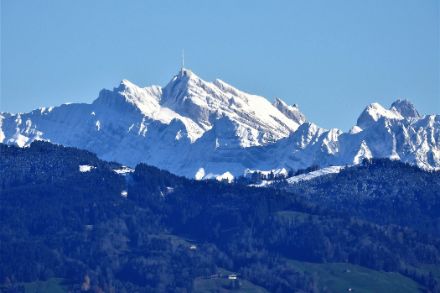 Säntis enneigé avec un ciel bleu et des collines vertes au premier plan