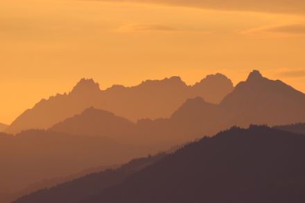 Vue depuis Hirzelhöchi (ZH) sur les Mürtschenstöcke peu après le lever du soleil. Photo : D. Gerstgrasser.