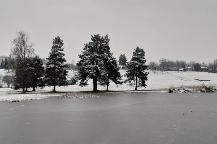 Arbres et prairies sous la neige, étang gelé.