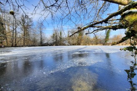 Le froid s’est installé sur la Suisse, les étangs et petits lacs commencent à geler comme ici à Bubendorf (BL) le 21.01.2023.