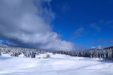 Le Jura vaudois pourrait ressembler à ça la semaine prochaine. Image : 6 janvier 2022 vers la Givrine (VD), photo par Josué Gehring.