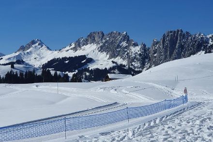 Du soleil et un paysage encore enneigé au Jaunpass (ou col de Bellegarde) en Gruyère le 11 février 2023. Source : Observations Météo - App MétéoSuisse