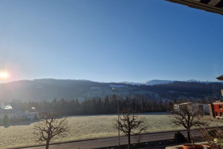 De la gelée blanche au petit matin du 9 février 2023 dans un champ à Malters. Source : Observations Météo - App MétéoSuisse