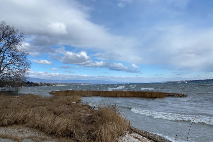 Un Petit-Lac aux allures de mer bretonne dimanche 26 février vers midi. Photo : Aude Untersee