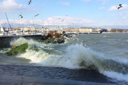 Lac agité sur les rives de la rade de Genève. Source : signegeneve.ch