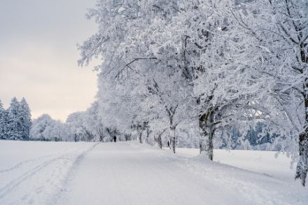 C'est ce que beaucoup de gens préfèrent : la neige poudreuse fraîchement tombée. Source : Unsplash. 