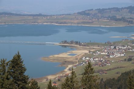 Au lac de Sihl, la sécheresse se manifeste tout particulièrement avec un niveau d'eau très bas.
