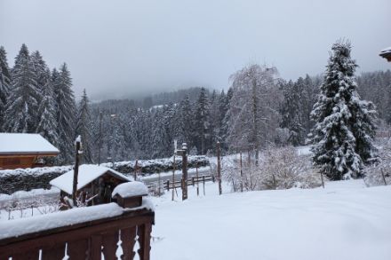 Retour d’une ambiance hivernale aux Paccots (FR) vers 1200 m d’altitude. Photo prise ce matin vers 07 h, source : observations participatives, App de MétéoSuisse.