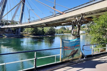 Pont sur le Rhin près de Schaffhouse, au premier plan, un avis accroché à la balustrade indique que des zones de détente pour les poissons ont été aménagées ici.