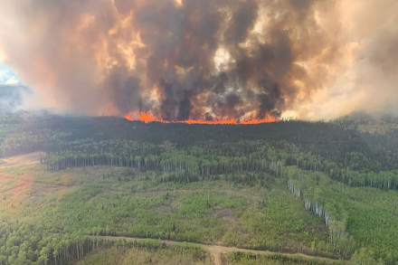 Feu de forêt vendredi passé vers Grande prairie, Alberta, Canada. Source : Alberta Wildfire/ via REUTERS