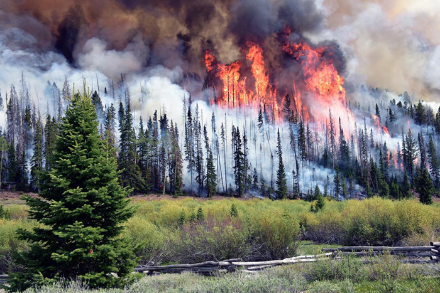Feux de forêts en Amérique du Nord. Credit: Krieg Rasmussun/ US Forest Service Fish Lake National Forest