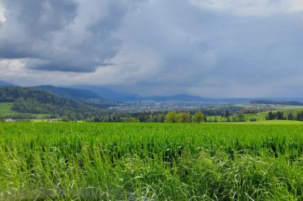 Ce dimanche, des orages ont éclaté le long des Préalpes, comme on pouvait le voir depuis Hirzwangen (ZH). En  direction du lac de Zoug et des Préalpes, le ciel sombre indiquait clairement la présence d'orages. Image : Nicole Graf.