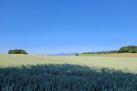 Photo d'un ciel bleu sans nuages