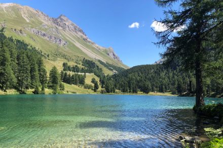 Photo du Lai da Palpuogna par un beau temps d'été : ciel bleu, vert intense.