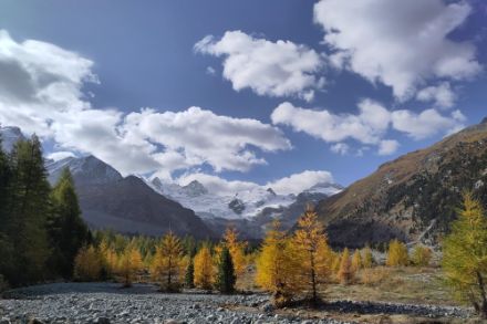 Les aiguilles des mélèzes commencent lentement à changer de couleur, comme ici dans le Val Roseg (GR). En raison de la chaleur tardive, ce phénomène devrait avoir lieu un peu plus tard que d'habitude dans de nombreuses régions cette année. Photo : "Observations Météo" - App MétéoSuisse