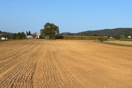 Ciel dégagé le 8 octobre 2023 à Roschenz, Bâle-Campagne. La barre des 25 °C sera atteinte cet après-midi dans cette région du pays. Source : Observations Météo - App MétéoSuisse