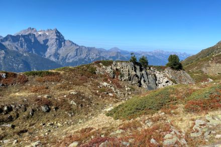 Les myrtilliers s’enflamment à moyenne altitude et offrent de jolis contrastes en ce début octobre en montagne. Photo : Aude Untersee