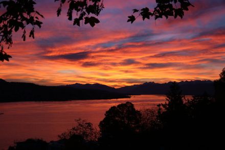 Aurore colorée ce jeudi matin sur le lac de Zurich capturée depuis Thalwil par D. Gerstgrasser.