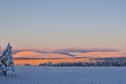 16 novembre dans la région du lac Storjö (photo : Britt Ellénius, www.svt.se)