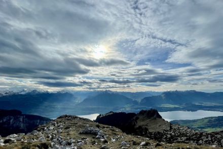 Vert en bas, blanc en haut - vue sur l'Oberland bernois (source : MétéoSuisse / J. Bhend)