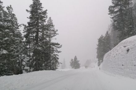 Neige fraîche à Zernez (GR).