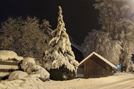 Le début de l’hiver a été marqué par de fortes chutes de neige jusqu’en plaine, en particulier en Suisse alémanique, comme à Ettenhausen en Thurgovie. Des conditions hivernales reviendront-elles en janvier ? Photo : "Observations Météo" – App MétéoSuisse