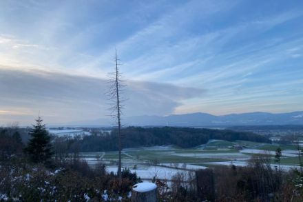 Nébulosité de front chaud et neige au sol – Observations App MétéoSuisse, Steinhof (SO) 