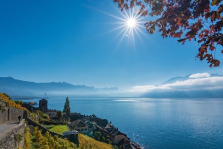 Une journée ensoleillée et douce sur les rives du Léman.