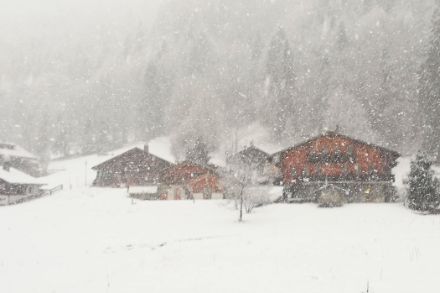 Photo de neige aux Plans-sur-Bex.