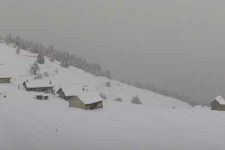 Webcam de Capanna Gorda (1810 m) lors de la dernière chute de neige d'importance au sud des Alpes au début du mois de décembre 2023