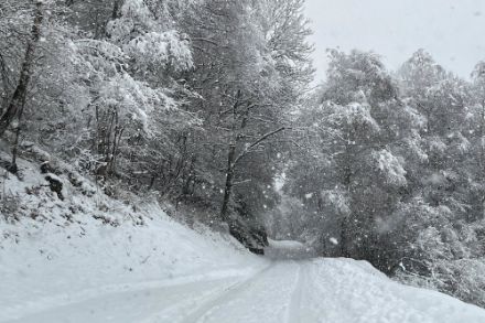 Chute de neige dans la région d'Isone au Tessin. (source : Crowdsourcing MétéoSuisse)