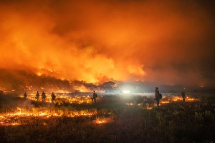 Un incendie de forêt