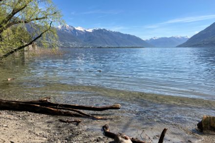 Vue depuis l'île San Pancrazio de Brissago en direction d'Ascona et des montagnes tessinoises encore enneigées au-dessus d'environ 2000 mètres le 14 avril.