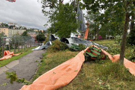 Dégâts observés le lendemain du passage de l'orage dans le secteur Parc Gallet. Photo : Lionel Peyraud, MétéoSuisse
