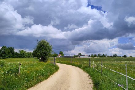 Photo d'une prairie verte et de nuages