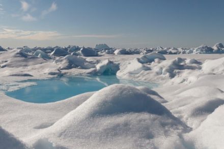 Glace de l'Arctique pendant la saison estivale (www.meereisportal.de)