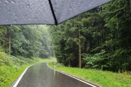 Des pluies régionalement abondantes ont été enregistrées ces dernières heures en Suisse romande. Photo : observation météo, app MétéoSuisse