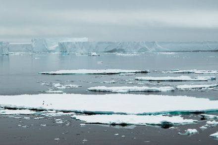 Icebergs au large de l’Antarctique. (Wikimedia Commons)