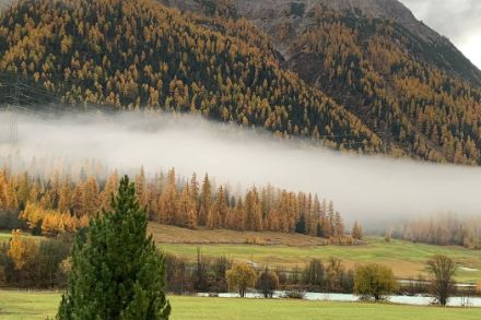 Banc de brouillard ce matin à Madulain, Grisons (App MétéoSuisse)