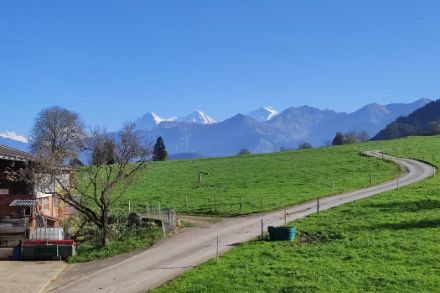 Journée ensoleillée le 1er novembre à Reutigen (BE) avec l’Eiger, le Mönch et la Jungfrau en arrière-plan. Source : Observations Météo - App MétéoSuisse