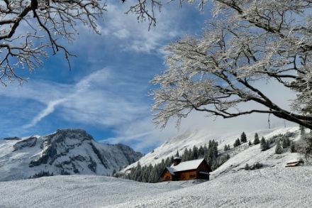 Le 12 novembre, il a neigé en montagne comme à Stoos (SZ). Photo : Observations Météo - App MétéoSuisse